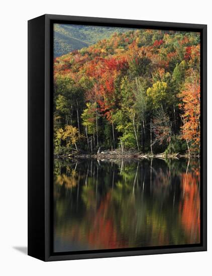 Autumn, Heart Lake, New York, USA-Charles Gurche-Framed Stretched Canvas