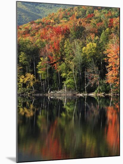 Autumn, Heart Lake, New York, USA-Charles Gurche-Mounted Premium Photographic Print