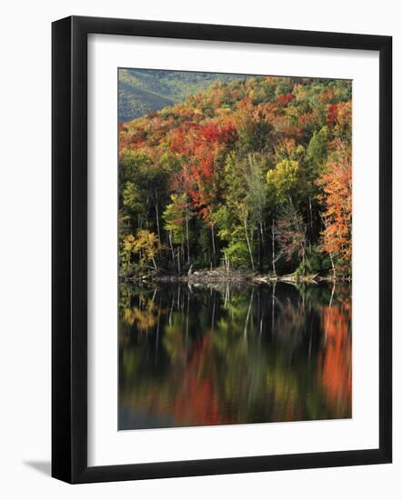 Autumn, Heart Lake, New York, USA-Charles Gurche-Framed Photographic Print