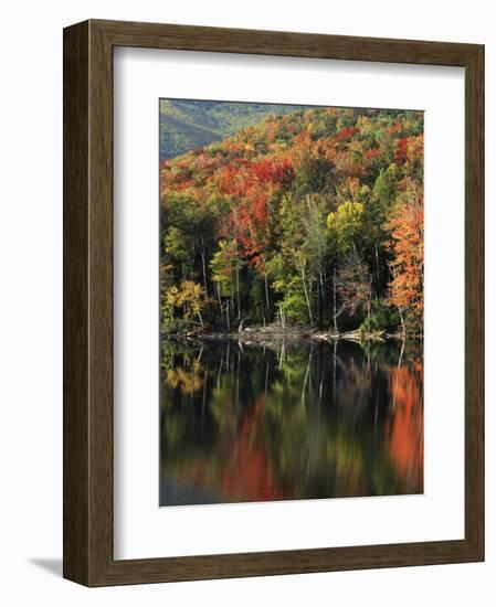 Autumn, Heart Lake, New York, USA-Charles Gurche-Framed Photographic Print