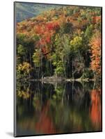 Autumn, Heart Lake, New York, USA-Charles Gurche-Mounted Photographic Print