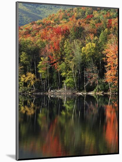 Autumn, Heart Lake, New York, USA-Charles Gurche-Mounted Photographic Print
