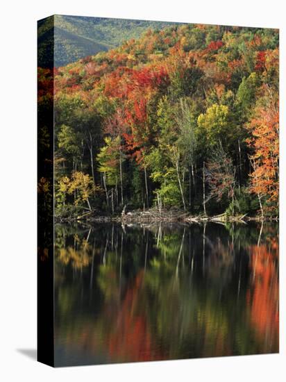 Autumn, Heart Lake, New York, USA-Charles Gurche-Stretched Canvas