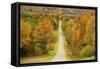 Autumn Hill-5fishcreative-Framed Stretched Canvas