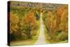 Autumn Hill-5fishcreative-Stretched Canvas