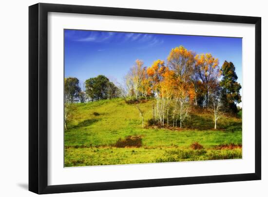 Autumn Hills II-Alan Hausenflock-Framed Photographic Print