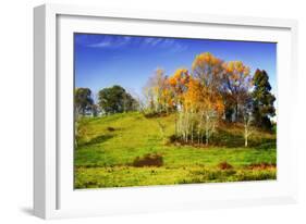 Autumn Hills II-Alan Hausenflock-Framed Photographic Print