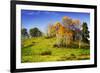 Autumn Hills II-Alan Hausenflock-Framed Photographic Print