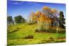 Autumn Hills II-Alan Hausenflock-Mounted Photographic Print