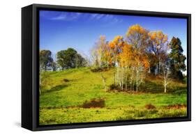 Autumn Hills II-Alan Hausenflock-Framed Stretched Canvas
