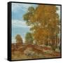 Autumn Hilltop, New England, 1906-Henry Alexander-Framed Stretched Canvas