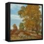 Autumn Hilltop, New England, 1906-Henry Alexander-Framed Stretched Canvas