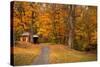 Autumn Home-Natalie Mikaels-Stretched Canvas