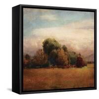Autumn Horizon I-Amy Melious-Framed Stretched Canvas