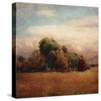 Autumn Horizon I-Amy Melious-Stretched Canvas