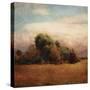 Autumn Horizon I-Amy Melious-Stretched Canvas