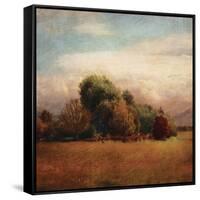 Autumn Horizon I-Amy Melious-Framed Stretched Canvas