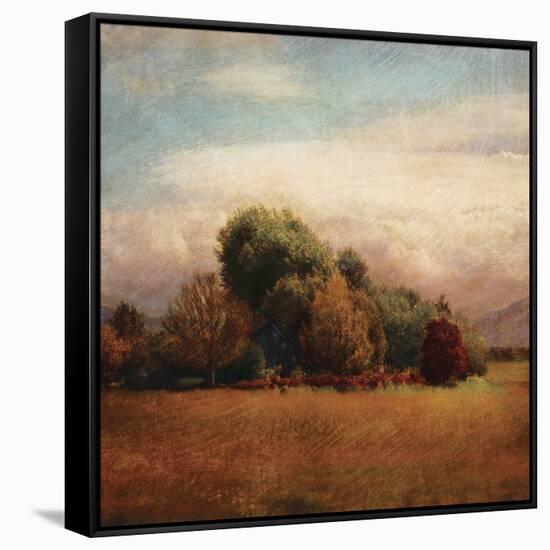 Autumn Horizon I-Amy Melious-Framed Stretched Canvas