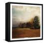 Autumn Horizon II-Amy Melious-Framed Stretched Canvas