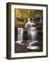 Autumn Horsetails-Michael Blanchette-Framed Photographic Print