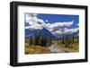 Autumn hues along the Belly River in Glacier National Park, Montana, USA-Chuck Haney-Framed Photographic Print