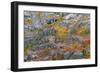 Autumn Hues and Fresh Powder, John Muir Wilderness, Sierra Nevada Mountains, California, Usa-Russ Bishop-Framed Photographic Print