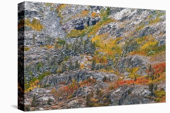 Autumn Hues and Fresh Powder, John Muir Wilderness, Sierra Nevada Mountains, California, Usa-Russ Bishop-Stretched Canvas