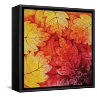 Autumn Hues I-Blue Fish-Framed Stretched Canvas