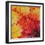 Autumn Hues I-Blue Fish-Framed Art Print