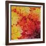 Autumn Hues I-Blue Fish-Framed Art Print