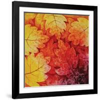 Autumn Hues I-Blue Fish-Framed Art Print