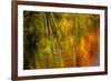 Autumn hues reflect into the Dead River, Marquette, Michigan USA-Chuck Haney-Framed Premium Photographic Print