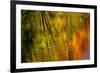 Autumn hues reflect into the Dead River, Marquette, Michigan USA-Chuck Haney-Framed Premium Photographic Print
