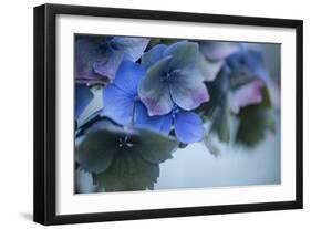 Autumn Hydrangea I-Rita Crane-Framed Photographic Print