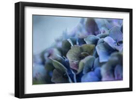 Autumn Hydrangea IV-Rita Crane-Framed Photographic Print