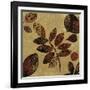 Autumn I-Andrew Michaels-Framed Art Print