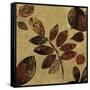 Autumn I-Andrew Michaels-Framed Stretched Canvas