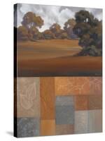 Autumn I-Vivien Rhyan-Stretched Canvas