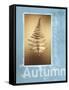 Autumn I-Kory Fluckiger-Framed Stretched Canvas