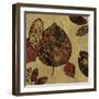 Autumn II-Andrew Michaels-Framed Art Print