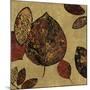 Autumn II-Andrew Michaels-Mounted Art Print