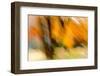 Autumn Impression 1-Ursula Abresch-Framed Photographic Print