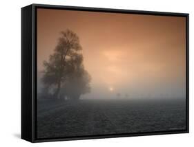 Autumn Impression, Luebbecke, Germany-Thorsten Milse-Framed Stretched Canvas