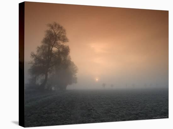 Autumn Impression, Luebbecke, Germany-Thorsten Milse-Stretched Canvas