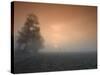 Autumn Impression, Luebbecke, Germany-Thorsten Milse-Stretched Canvas