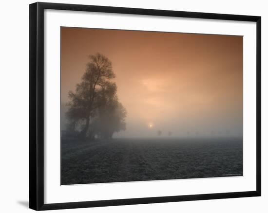 Autumn Impression, Luebbecke, Germany-Thorsten Milse-Framed Photographic Print