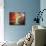 Autumn Impressions-Maya Green-Mounted Art Print displayed on a wall