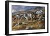 Autumn in Alaska-Trevor V. Swanson-Framed Giclee Print