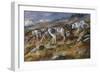 Autumn in Alaska-Trevor V. Swanson-Framed Giclee Print