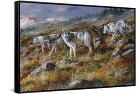 Autumn in Alaska-Trevor V. Swanson-Framed Stretched Canvas